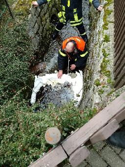 Einsatz am 24.02.2020